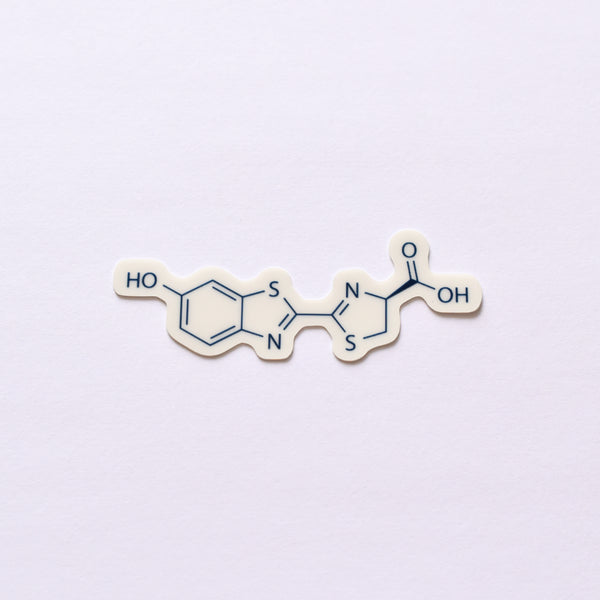 Luciferin molecule | glow in the dark science sticker (biology, chemistry)